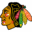 Chicago Blackhawks