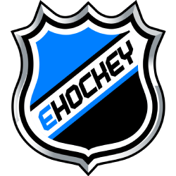 Electronic Hockey League